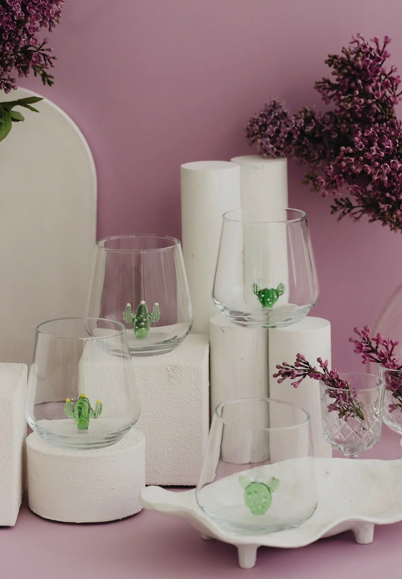 Cactus Set - Image 5