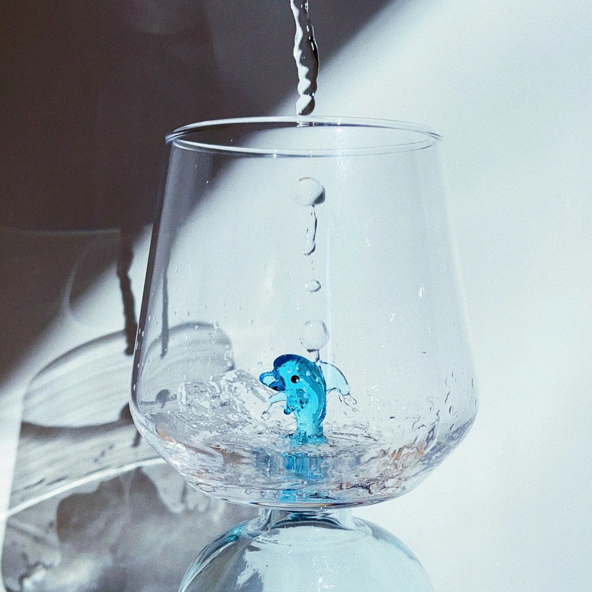 Dolphin Glass - Image 5