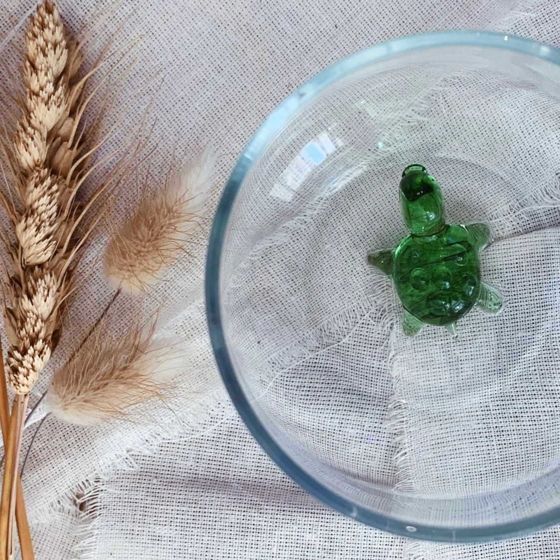 Turtle Glass - Image 8