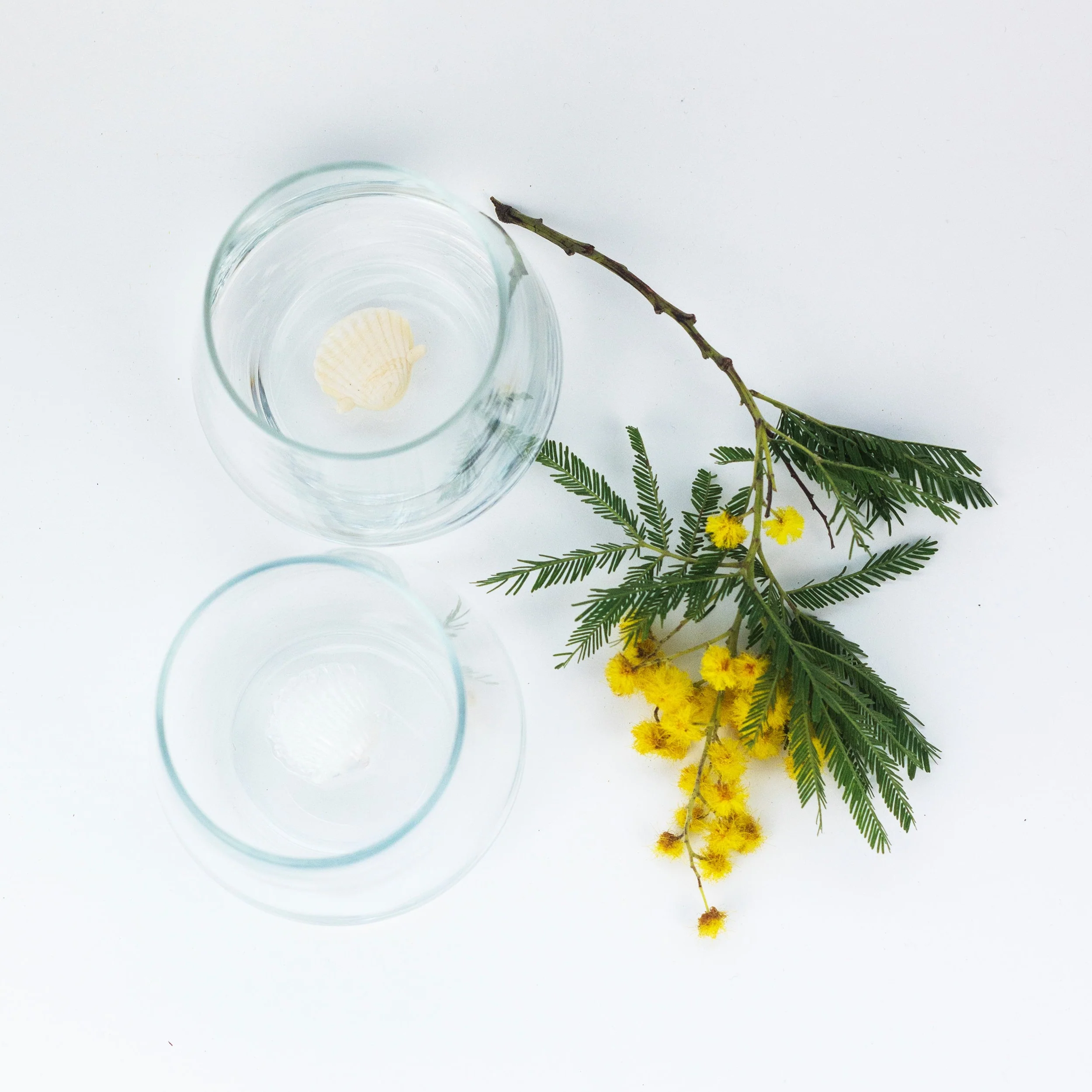 Shell Glass - Image 3