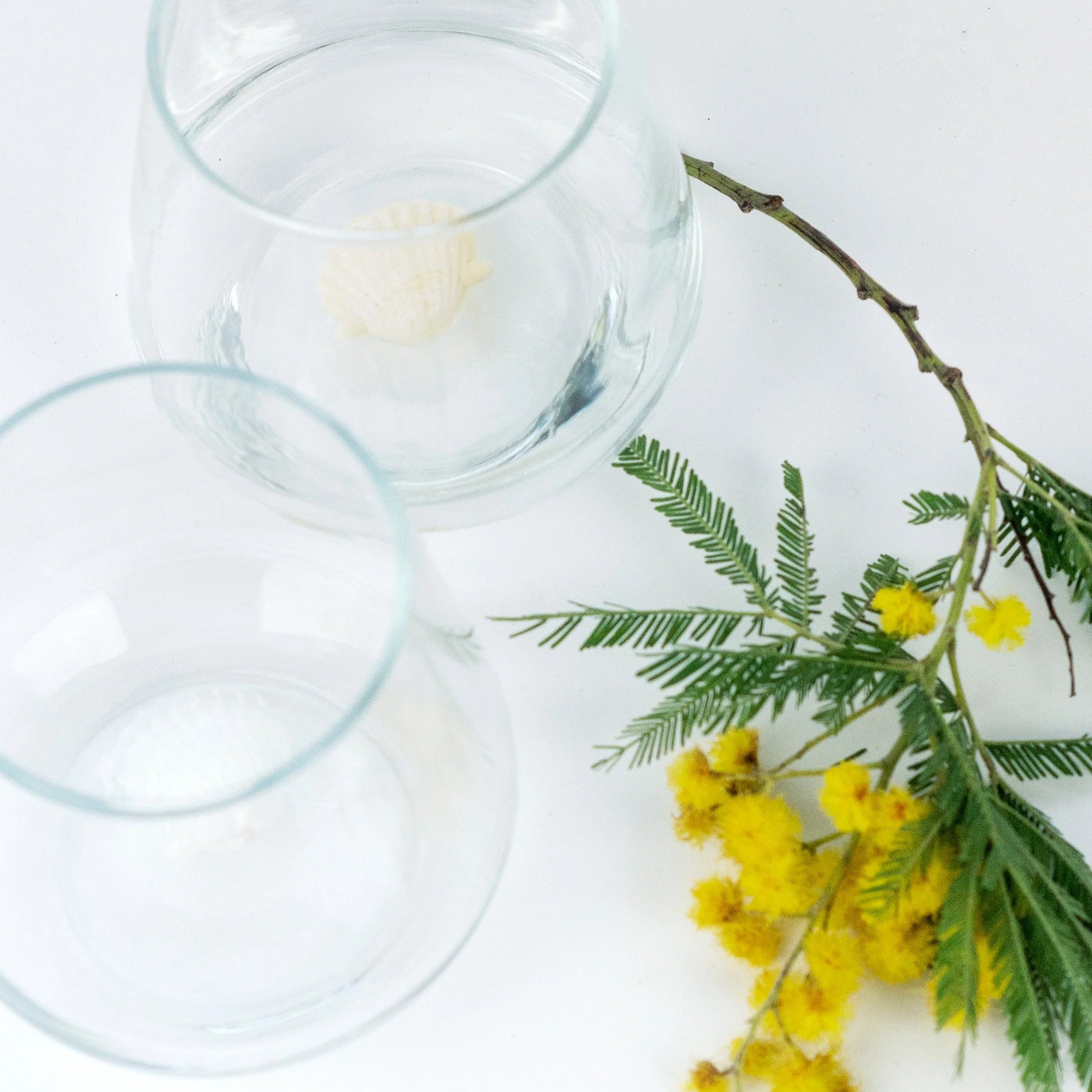 Shell Glass - Image 4